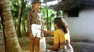 ചെക്കാ വിളച്ചിലും കൊണ്ട് എന്റെ അടുത്ത് വന്നാലുണ്ടല്ലോ | Kallan Pavithran Movie Scene |