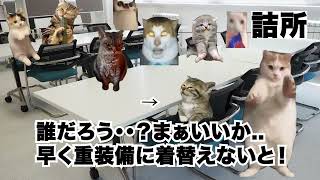 新人期間工が初日でバックレる08話【猫ミーム】