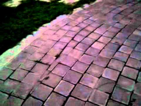 天色昏暗之看不清楚的你丟我撿(原發表者:小卡媽咪)(影片)