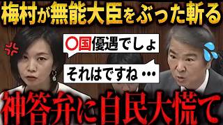 【速報】「国家国民のためになってない！！」参政党 梅村議員 環境大臣をぶった斬る　#参政党 　#梅村みずほ 　#国会　＃神谷宗幣