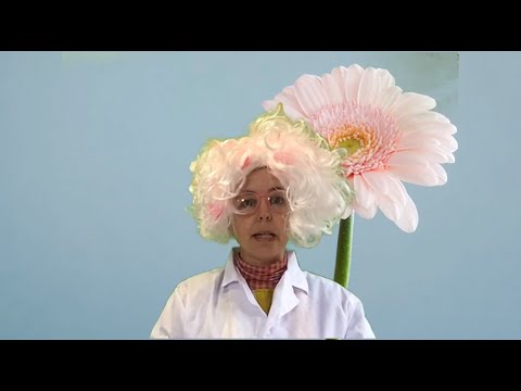 Maribyrnong Libraries - Junior Science - Backyard Scavenger Hunt