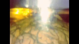 Electric Würms "Transform" - "Muzik Die Schwer Zu Twerk" Part 3