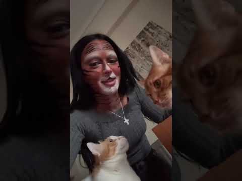 Πάω να τρομάξω τον γάτο μου ! 😹😹😹😹😻😻😻😻💞💖💞💖💞💖🩷💖🩷💖💞💖💖💞💖💖💞💞💖💞💖
