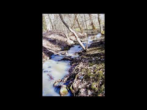 Vārme-skaistā pavasara dienā!