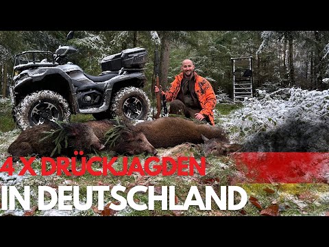 4 x Premium Drückjagden in Deutschland 2025