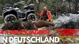4 x Premium Drückjagden in Deutschland 2025