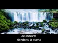 Mi Dicha Lejana Neil Sedaka with lyrics-con letras