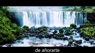 Mi Dicha Lejana Neil Sedaka with lyrics-con letras