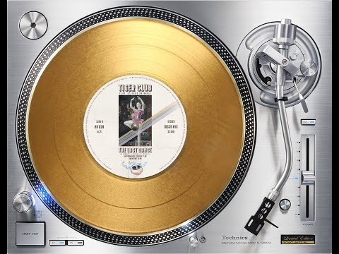 TIGER CLUB FEAT. STEFANO BRIGNOLI - THE LAST DANCE (INSTRUMENTAL VERSION) (℗+©2022)