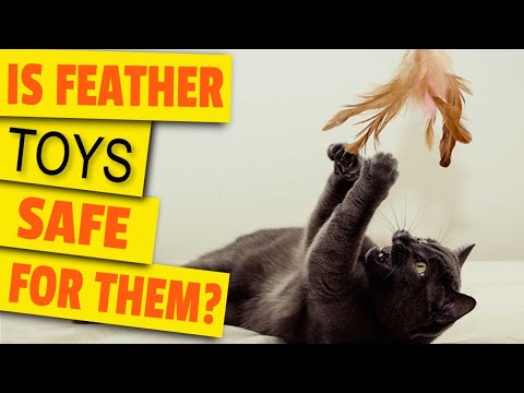 🐱🐥¿Are Feather Toys Safe for Your Cat?
