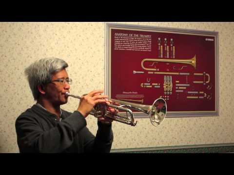 Trumpet Air by George Phillip Telemann
