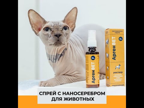 Мнение Павла Попкова — ветеринара-эксперта Международного Кинологического Союза