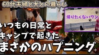 【60代夫婦の休日】愛犬と行く1泊2日キャンプ/何気ない日常の暮らし/キャンプから帰ってからの片付けや掃除/断捨離