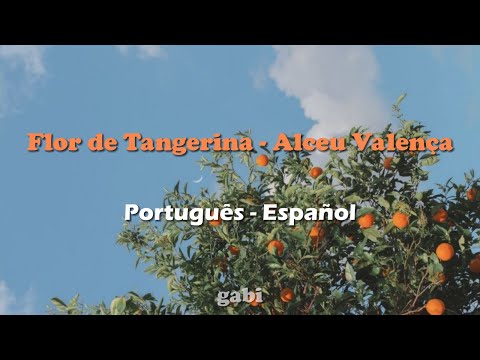 Flor de Tangerina - Alceu Valença (Letra português - traducción español)