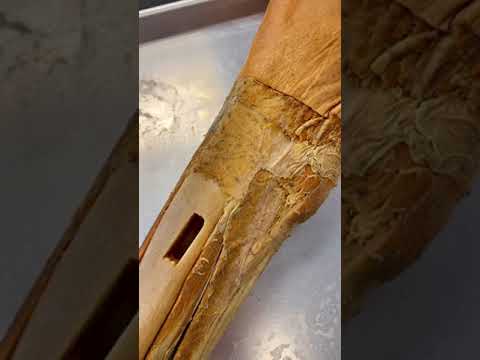 What's On the Surface of Bones?