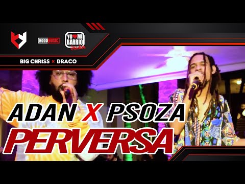 Psoza x Adan - Perversa 🎹BigChriss x Dracodeville x Jazz x El Lapiz de Oro🎹| EN VIVO 🔴