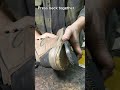 George The Cobbler Gluing A Sole Back On A Shoe Shorts