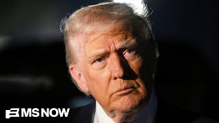 Economist: Trump’s pricing pitch like a ‘bandage over a bullet wound’