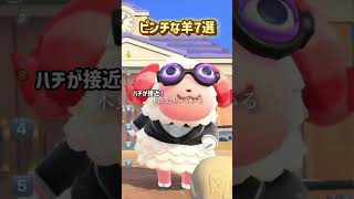 ピンチな羊7選！