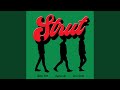 Strut