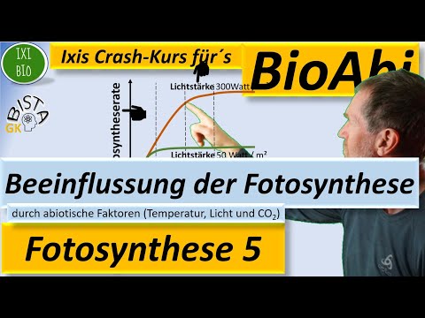Influence of abiotic factors (temperature, light, CO2) on photosynthesis (photosynthesis)