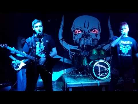 ZTP - ZTP - Slepice (EX-Blowjox)