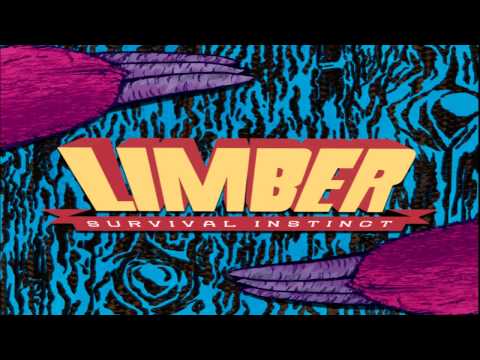 Limber - Girls Just Wanna Have Fun [Cyndi Lauper Cover] (With Lyrics)