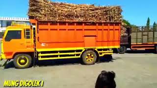 Download lagu Mundur alon alon versi truk gandeng mp3