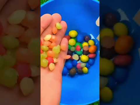 Jim's69 chocolate new short video #short #shorts