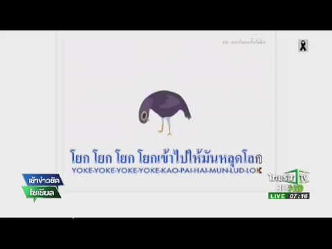คลิกเพื่อดูคลิปวิดีโอ