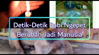 Download lagu Detik Detik Babi Ngepet Berubah Jadi Manusia... mp3
