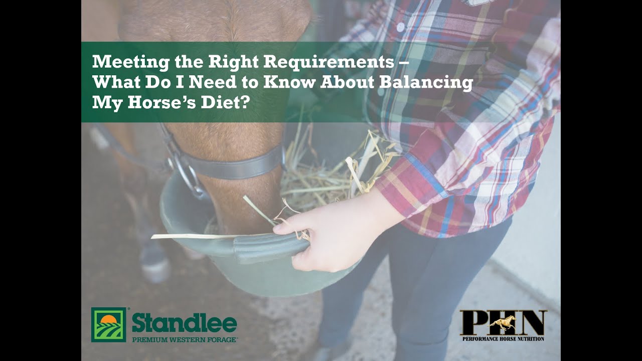 Meeting the Right Requirements - What Do I Need to Know About Balancing My Horse’s Diet?