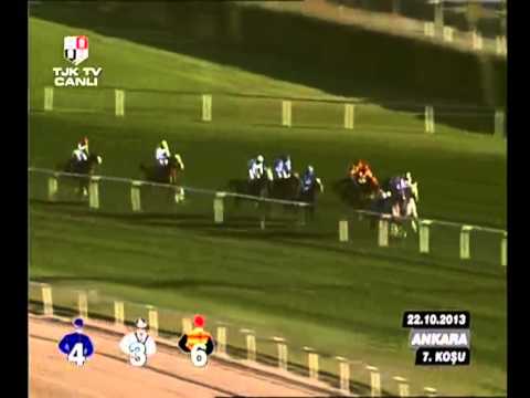 Ankara Hipodromu (75. Yarış Günü) 7. Koşusu