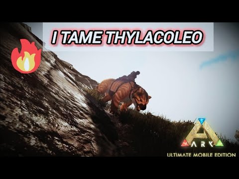 INSANE High Level Thylacoleo Tame! |ARK Mobile - The Island EP4