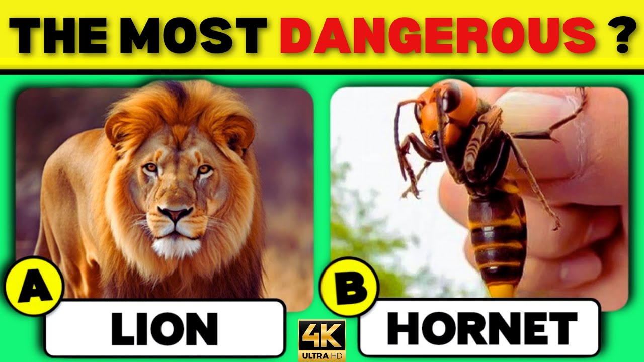 How Much Do you Know about Animals?🦁🐘🐯🐬51 Animals Knowledge Trivia Quiz