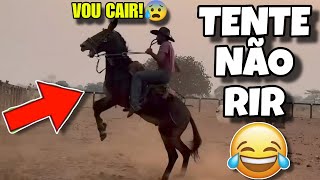 TENTE NÃO RIR: OS MELHORES VÍDEOS DA INTERNET #videosengracados #tentenaorir #humor #comedia #tiktok