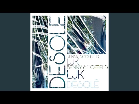 Désolé (feat. LJK)
