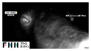 “食欲の秋”状態のクマ出没相次ぐ　街や公園にも「栗」や「クルミ」　9月の冬眠準備は山ではなく人里に来る個体も（2026年09月02日）