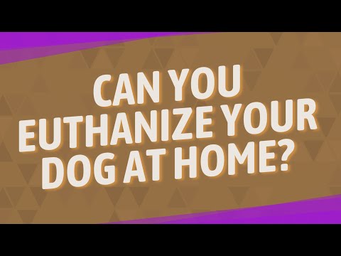 Can you euthanize your dog at home?