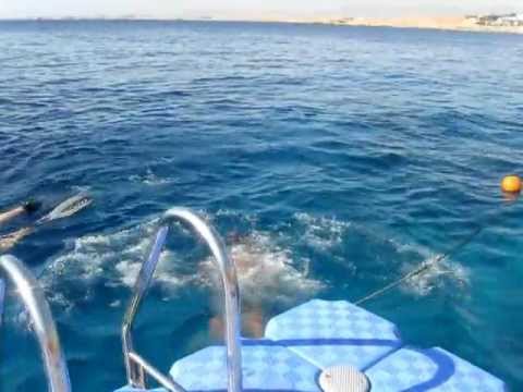 Отдых в отеле Sharm Plaza в октябре 2012г., 3 часть