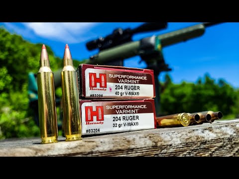 Easiest way to clean a 9mm gun barrel using a Hoppes Viper boresnake. #shorts #guncleaning