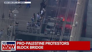 Pro-Palestinian protesters block traffic on Brooklyn Bridge | LiveNOW from FOX