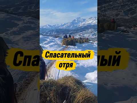 Так доставляют корм для животных в труднодоступные места.