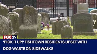 Dog waste left behind near Philly cemetery upsets residents