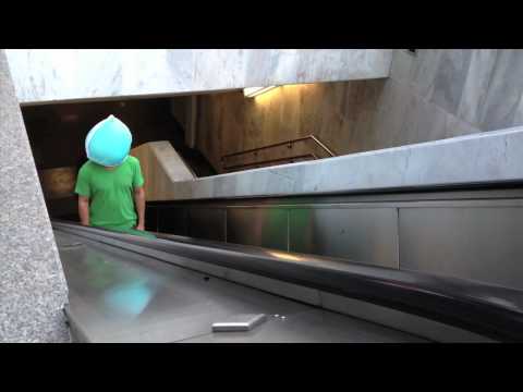 Pingo na Pia - O seu novo portal de HUMOR!