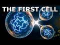 From Molecules to Life: How the First Living Cell Was Born | Documentary For Sleep