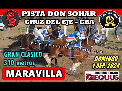 MARAVILLA: PISTA DON SOHAR - CRUZ DEL EJE, CORDOBA (01-09-2024)