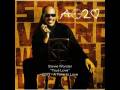 Stevie Wonder - True Love
