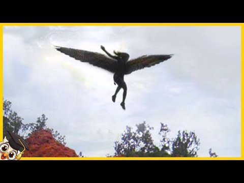 15 real angels caught on camera