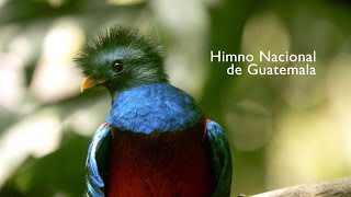 HIMNO NACIONAL DE GUATEMALA